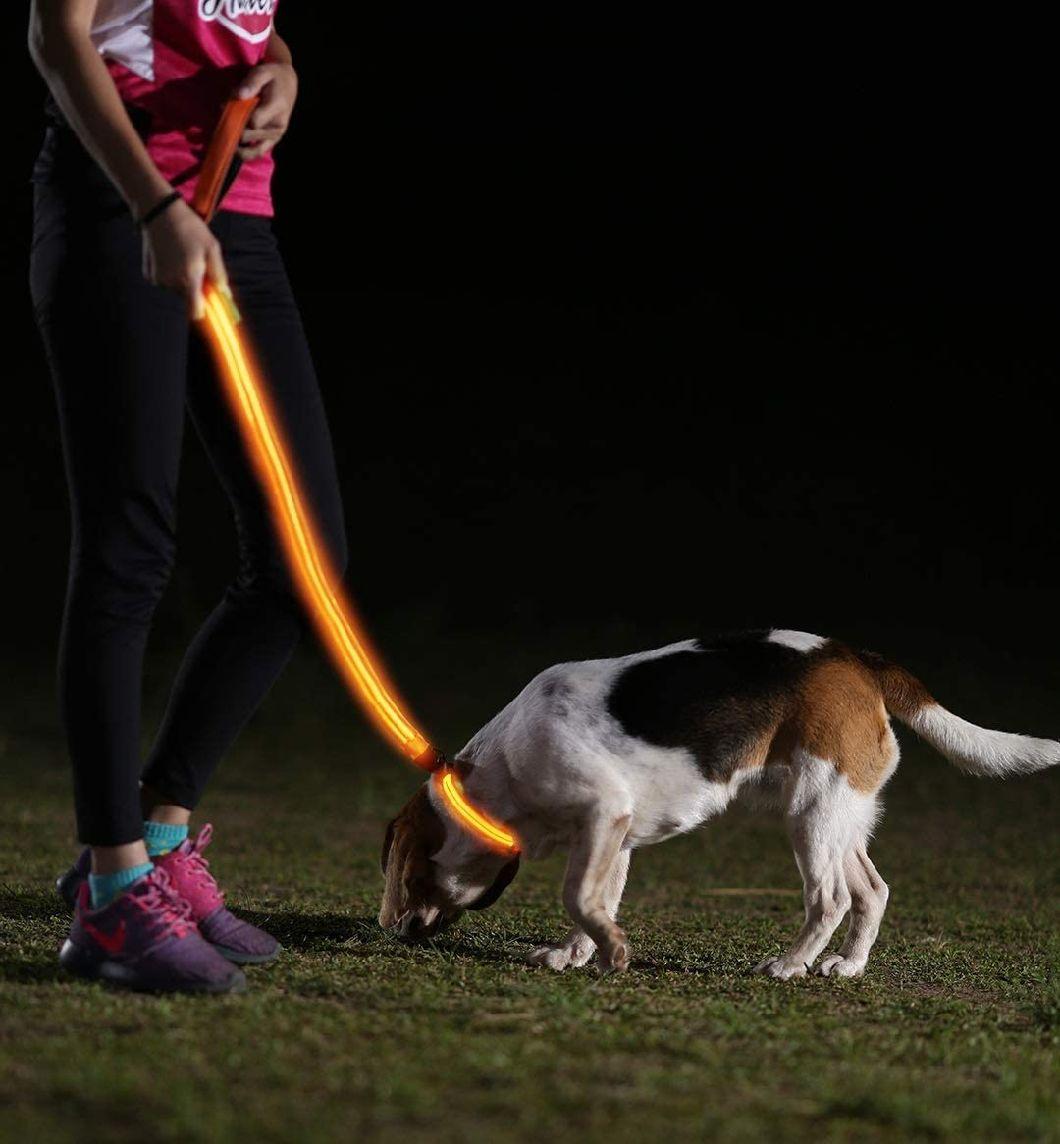 Dog Visible, Safe & Seen LED Dog Collar
