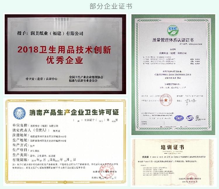 China Manufacturer Training Puppy Dog Disposable Pet Pads