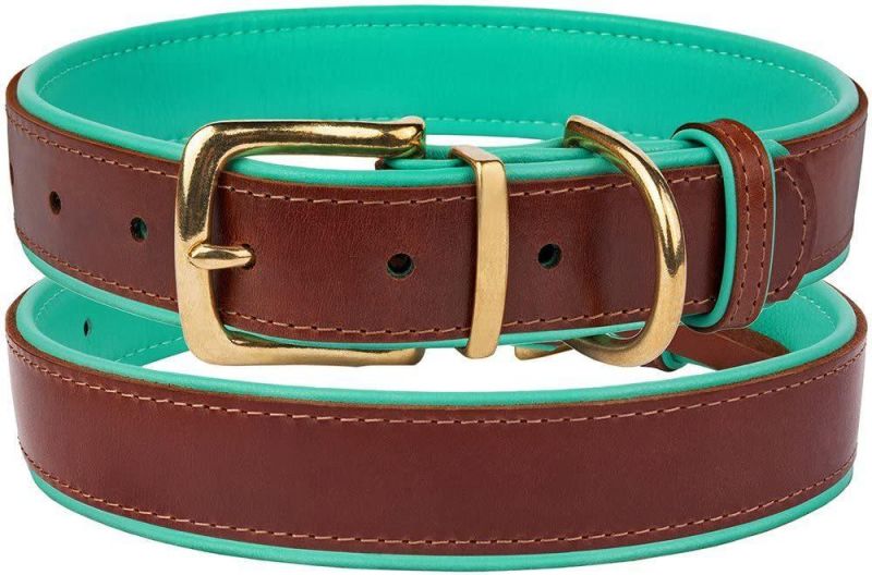 Leather Dog Collar with Soft Padded Inner Side