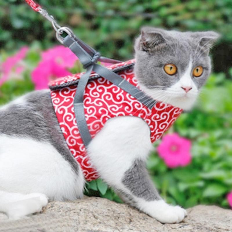 Fashion Pet Cat Vest Outdoor Travel Walking Harness Leash Set Wholesale Dog Clothing