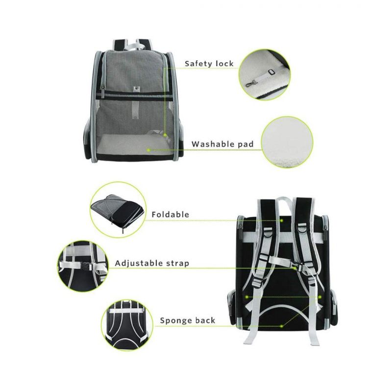 Pet Backpack Carrier Collapsible Buckle Support with Safety Straps for Small Catdog