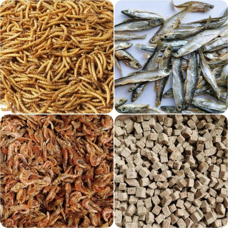 Dried River Fish for Dogs and Cats Feeding