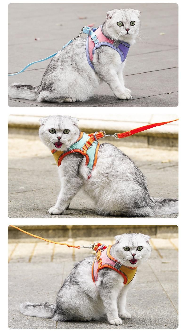 Amazon′s Hot Kitten Harness Easy Control Breathable Cat Leash with Reflective Strip