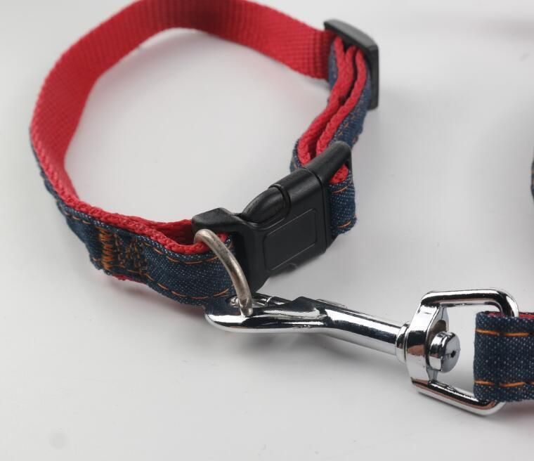 Custom Pet Dog Training Leash Collar