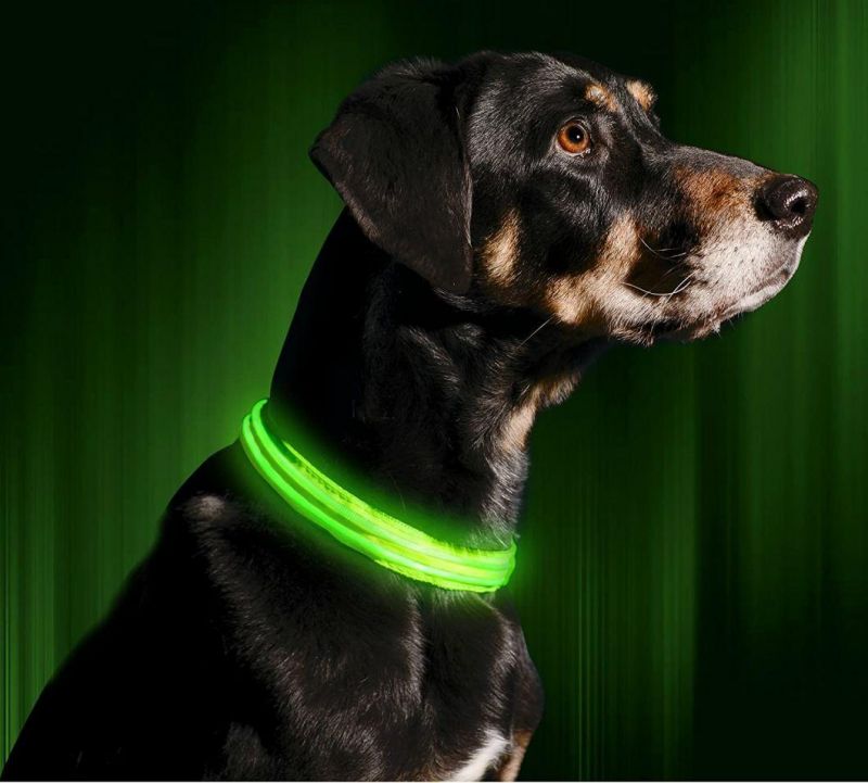 LED Dog Collar - USB Rechargeable