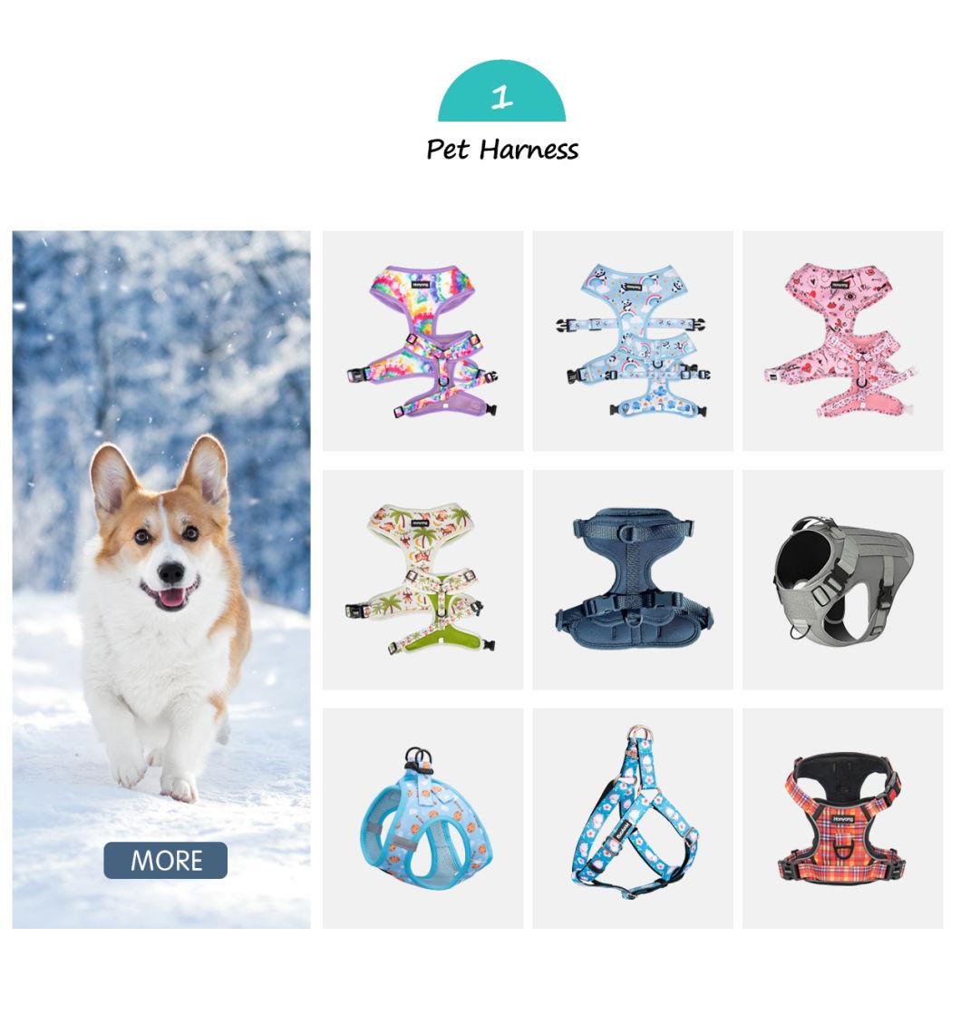 2022 Instgram Most Popular Multicolor PVC Rubber Coated Waterproof Dog Accessories Pet Dog Leash