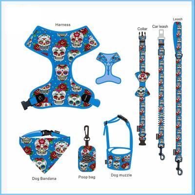 Pet Accessories 2022 Leash and Harness Set for Dog