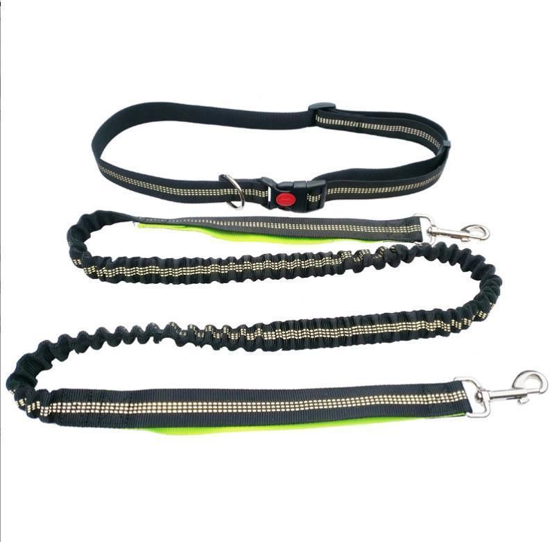 Factory Wholesale New Free Lead-Free Running Reflective Dog Leash