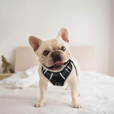 Easy Control Pet Harness with Reflective Strap