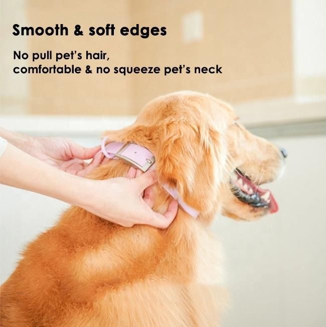 Designers Adjustable Dog Pet Collar Supplies Luxury Lightweight Waterproof PVC Dog Collar with Logo