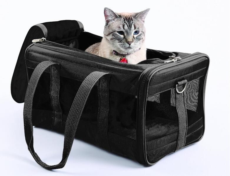 Luxury Cat Bag Pet Bag Small Backpack Folding Teddy Supplies Dog Bag Cat Travel Bag Portable Dog Bag