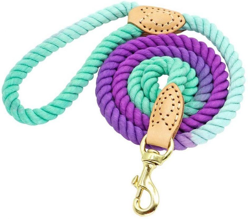 Heavy Duty Rope Braided Nylon Rope Slip Lead Dog Leashes