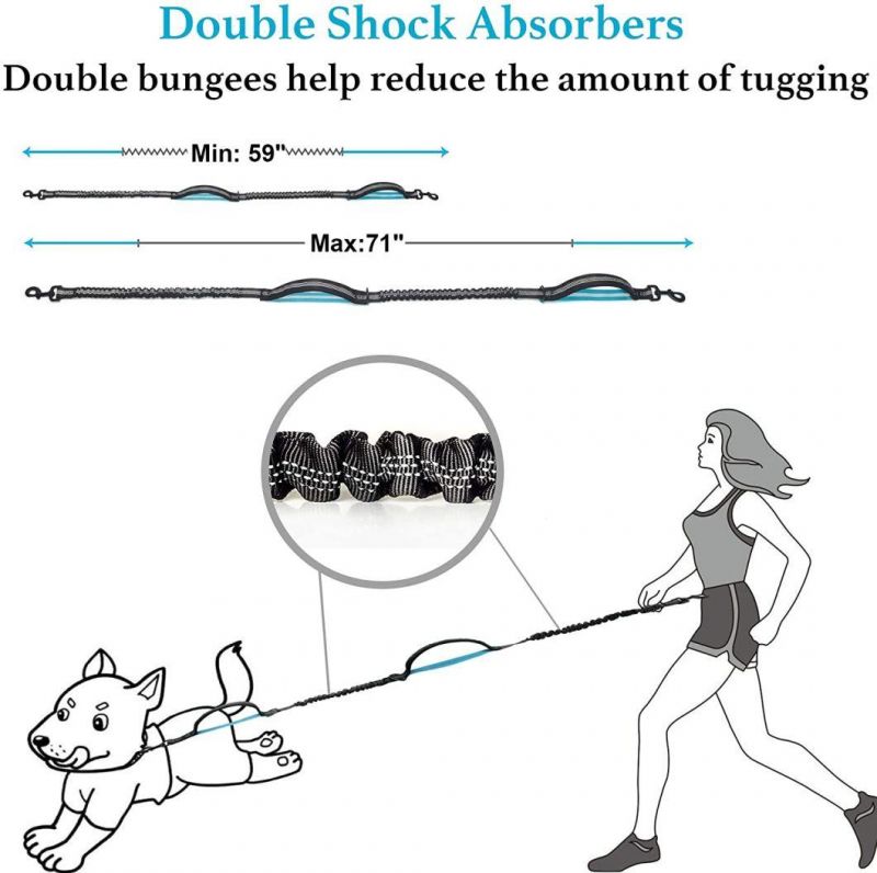 Hands Free Dog Leash with Dual Padded Handles and Durable Bungee