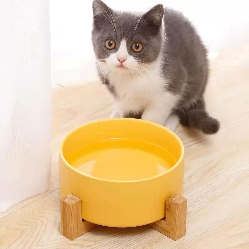 Customize OEM ODM Cat Dog Food Bowl Container Ceramic Feeder