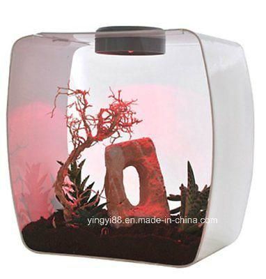 Best Selling Acrylic Reptile Products Shenzhen Factory