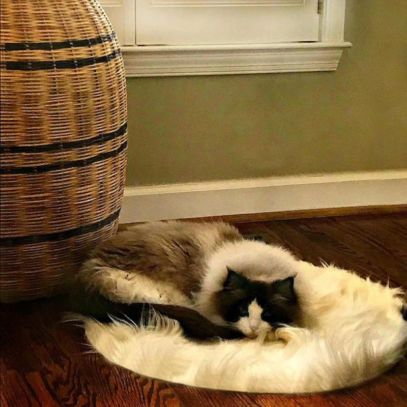 Faux Fur Shaggy Long Hair Cat Bed Mat Sheepskin Padded Throw Rug