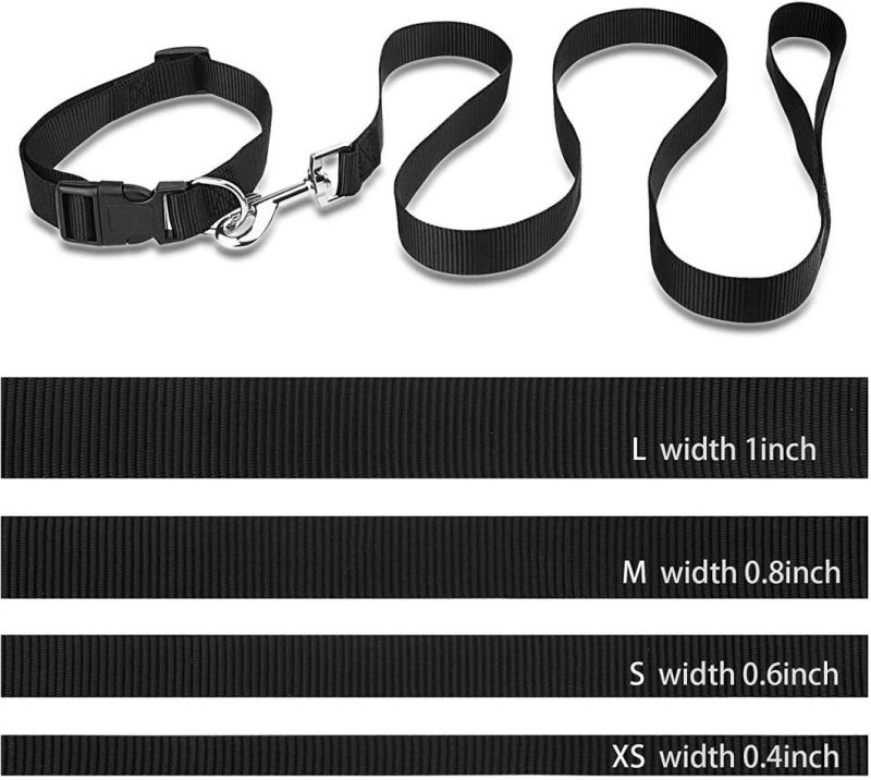 Basic Dog Collar and Leash Set with Fast Delivery
