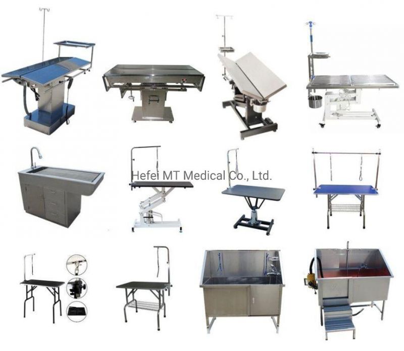 Mt Medical Stainless Steel Veterinary Cat Cage