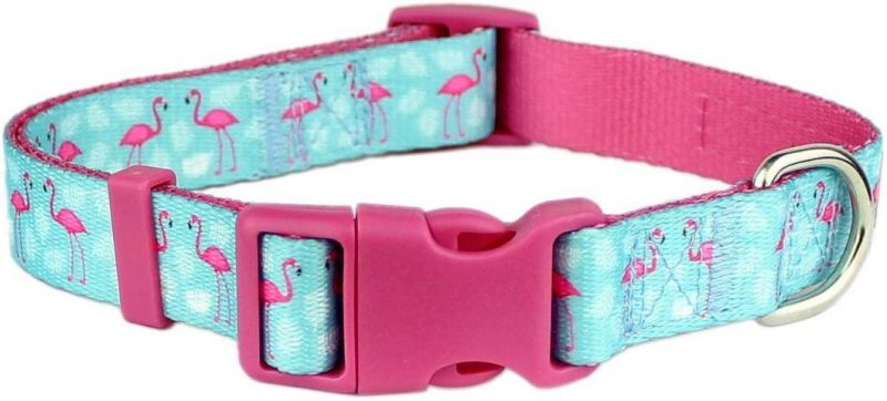 Beautiful Spring and Plaid Designs Pet Adjustable Nylon Dog Collar