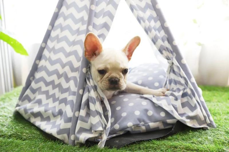 Five Sticks Soft Pet Tribe Comfortable Pet Teepee Dog Tent Cat Tent