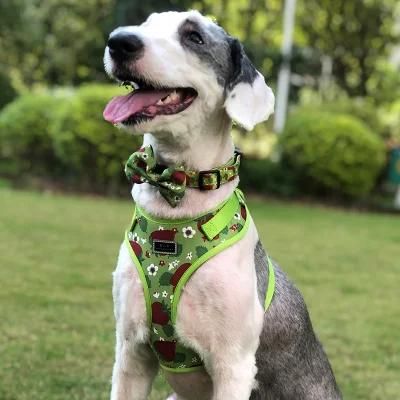 OEM Adjustable Custom Dog Harness Sets Eco Friendly Pattern Dog Collar and Leash Wholesale