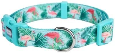 2022 New Designs Pet Products Adjustable Dog Collars Walking Dogs