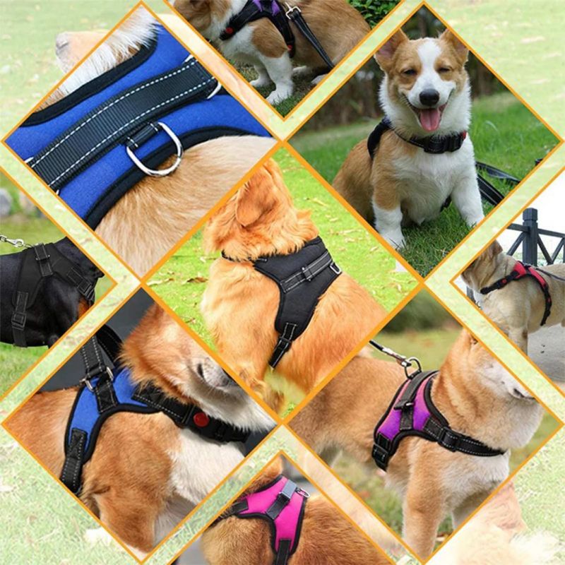 Dog Running Harness Breathable Adjustable Pet Harness for Small Medium Large Pet