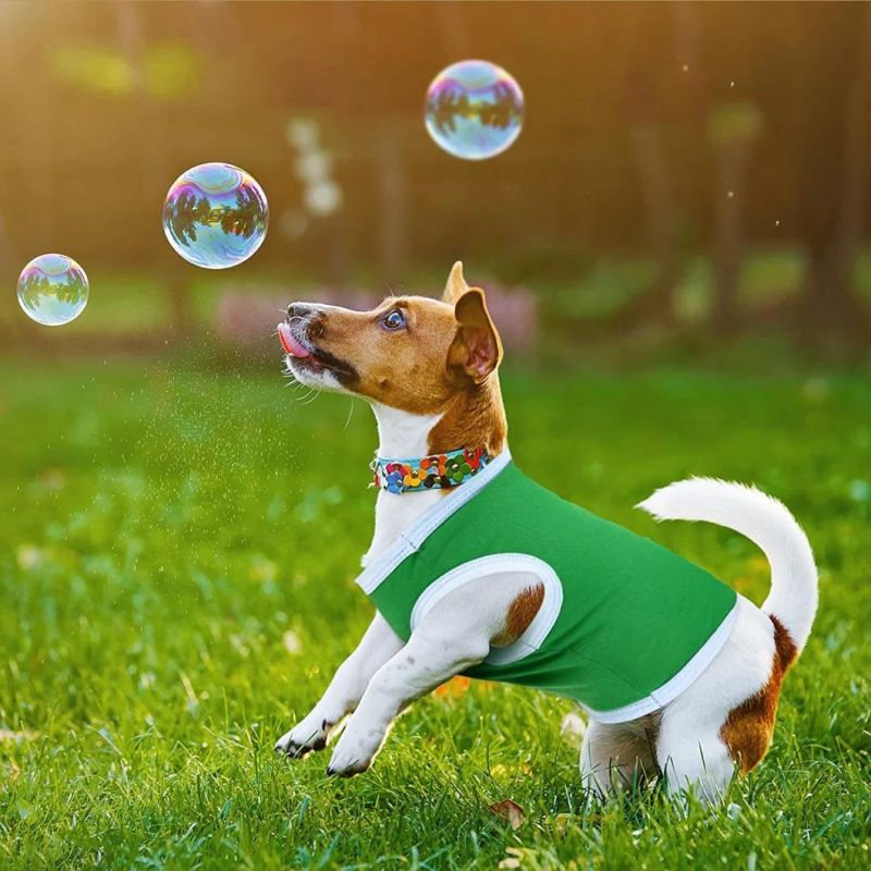 6 Pieces Dog Shirts Pet Puppy Blank Clothes Breathable Dog Plain Shirts Soft Puppy T-Shirts Clothes Outfit for Dogs Cats Puppy
