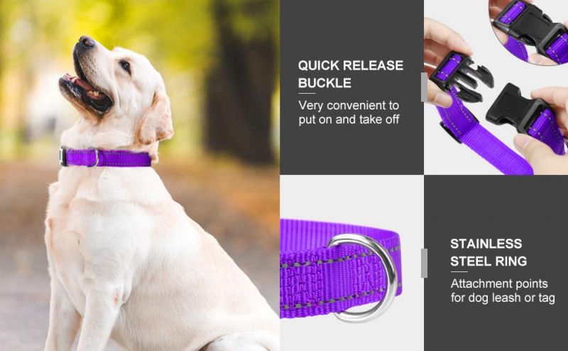Classic Solid Colors Quick Release Dog Collar
