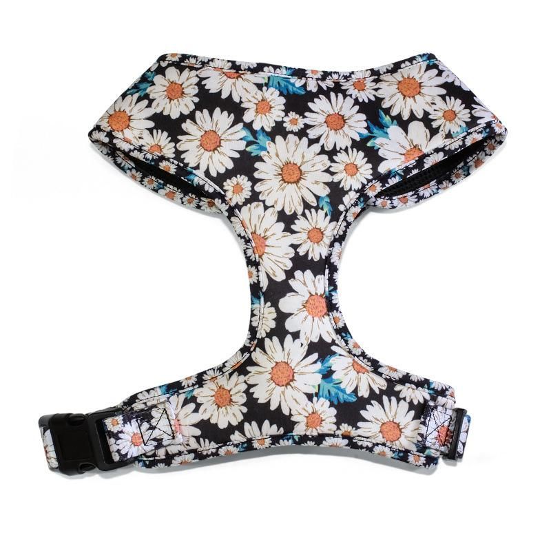 OEM Luxury Designer Pattern Reversible No Pull Custom Dog Harness Set Cat Pet Collar Leash Leads Step in Adjustable Dog Harness