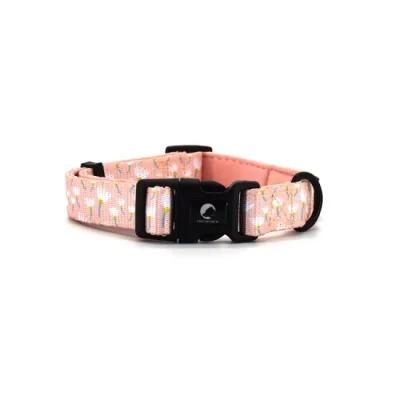 Wholesale Good Quality Pet Harness Collar Leash