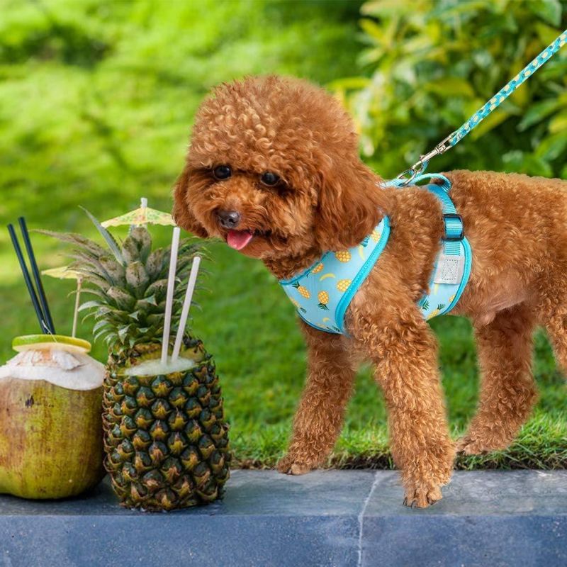 Reversible Dog Harness New Popular Reflective Dog Set Custom Printed Mesh Neoprene Vest Super Soft Comfortable Breathable