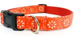 Dog Collar, Patterned Pet Collar, Cat Collar, Padded Dog Collar, Custom Collar, Personalised Dog Collar (PCV0014)