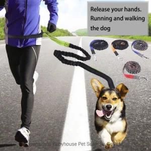 Guaranteed Quality Adjustable Set of Nylon Running Training Dog Collar Lead