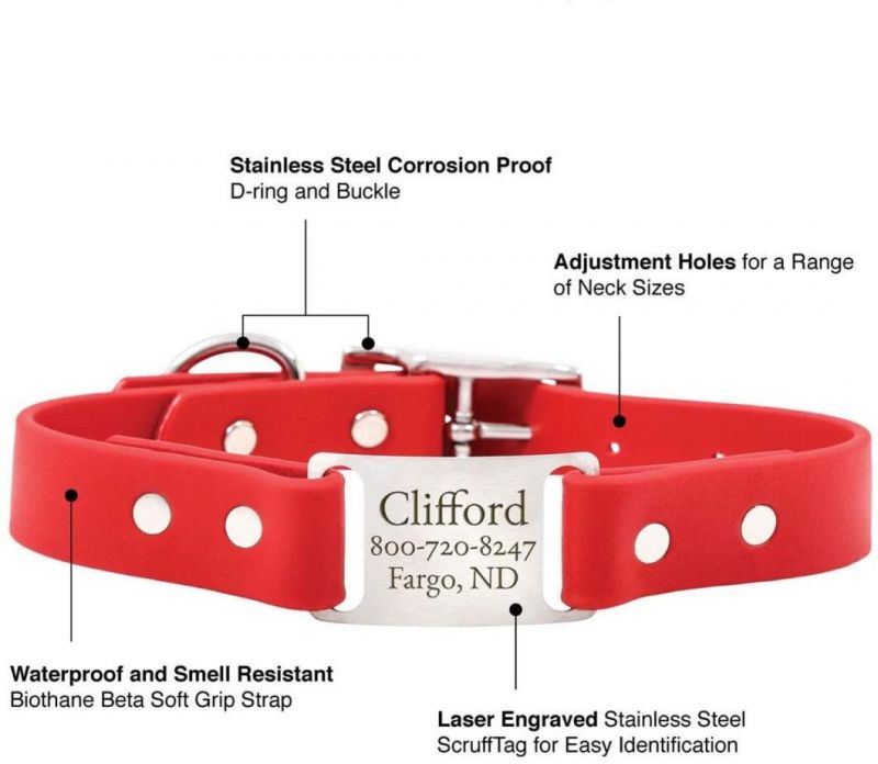 Dog ID Personalized Waterproof Dog Collar