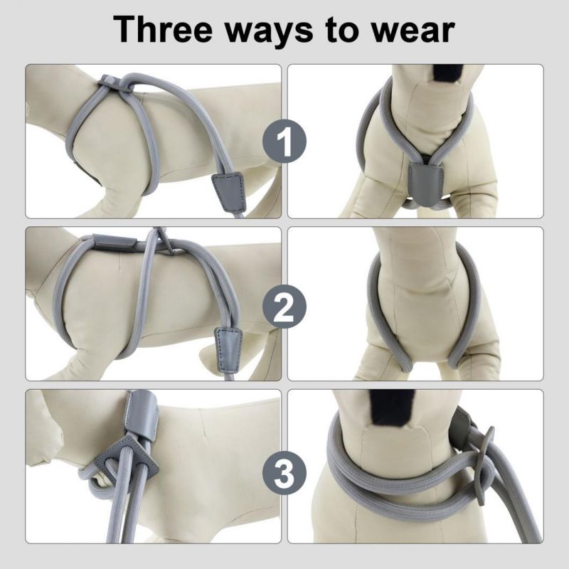 Hot Sale Creative Design Manufacture Durable No Pull Nylon Rope Slip Lead Dog Leash Luxury Climbing Dog Rope Leash