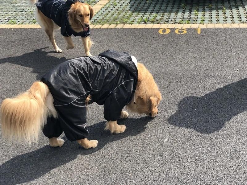 Big Dog Siamese Raincoat Breathable Reflective Big Hat Four Feet Pet Poncho