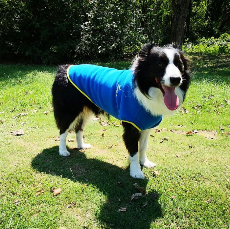 Fast Delivery of Fleece Dog Hoodie with Lower MOQ