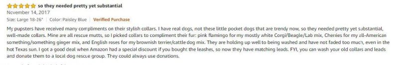 Paisley Dog Collar for Dogs