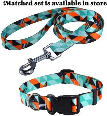 Fashion Pet Products Pet Dog Leashes and Collars Walking Dogs