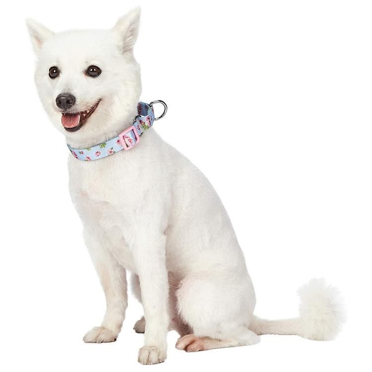 Custom Logo Printed Pattern Martingale Dog Collar