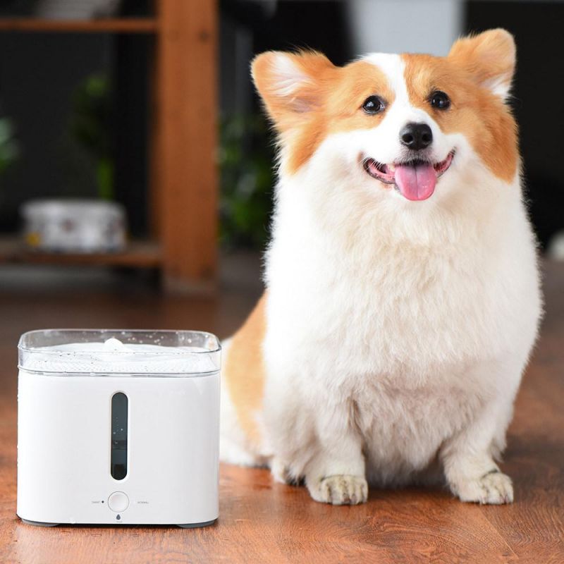 Premium Pet Dog&Cat Water Drinking Fountain Setting in 3 Modes Running Automatically