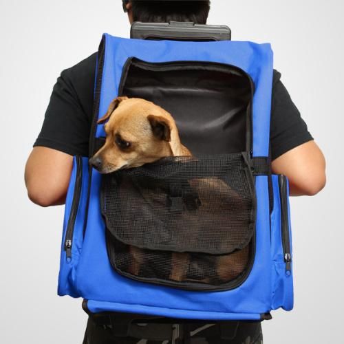 Portable Comfort Oxgord Pet Travel Cat Dog Rolling Backpack