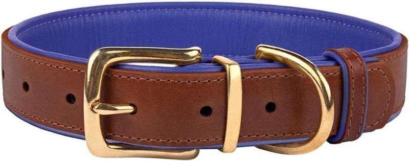 Top Quality Leather Dog Collar with Soft Padding