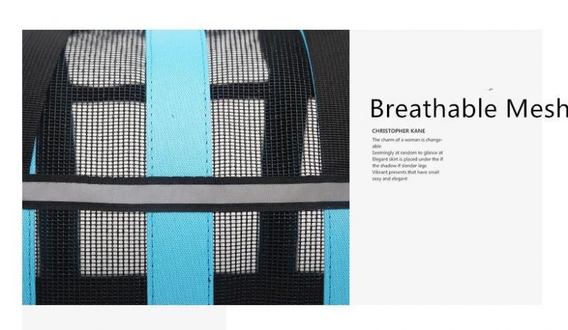 OEM Design Breathable Pet Carrier Handbag Outdoor Dog Cat Pet Products