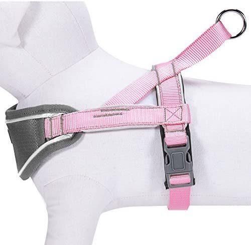 Soft & Comfortable 3m Reflective Strips Nylon Neoprene Padded Training Dog Harness