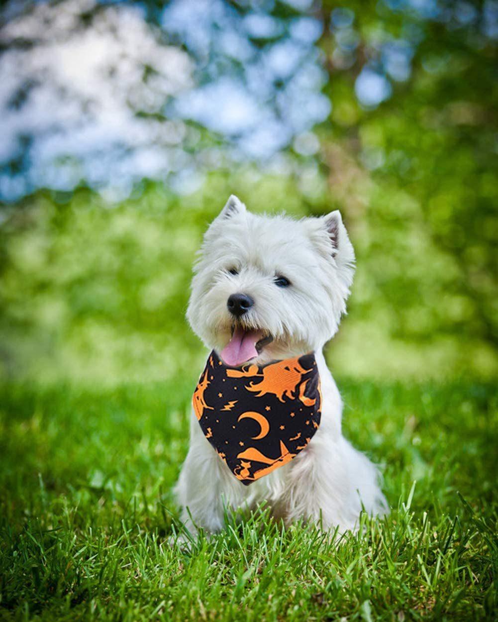 Halloween Dog Bandanas and Collars Set, Pumpkin Witch Ghost Costume Triangle Pet Scarf & Collar