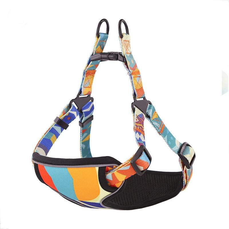 2022 Custom Logo High End 6 PCS Set Personalized Safety Custom Designer Dog Harness Set Dog Leash Pet Harness Pet Collars