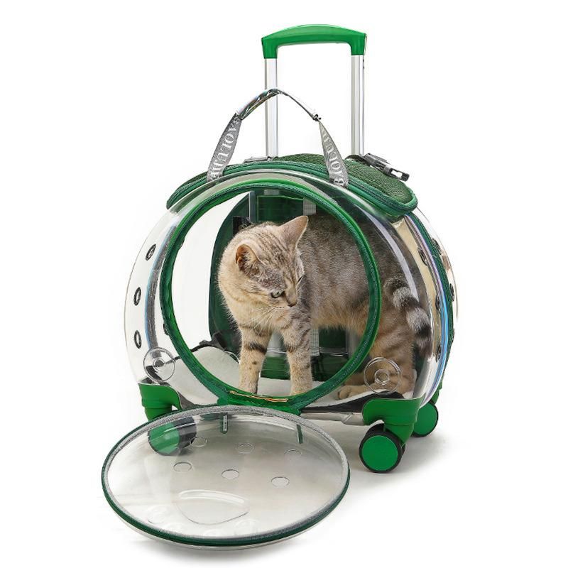 Transport Cat Dog Cage Maintenance Pet Carriers