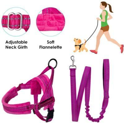 No Pull Small Dog Harness Heavy Duty Easy for Walk